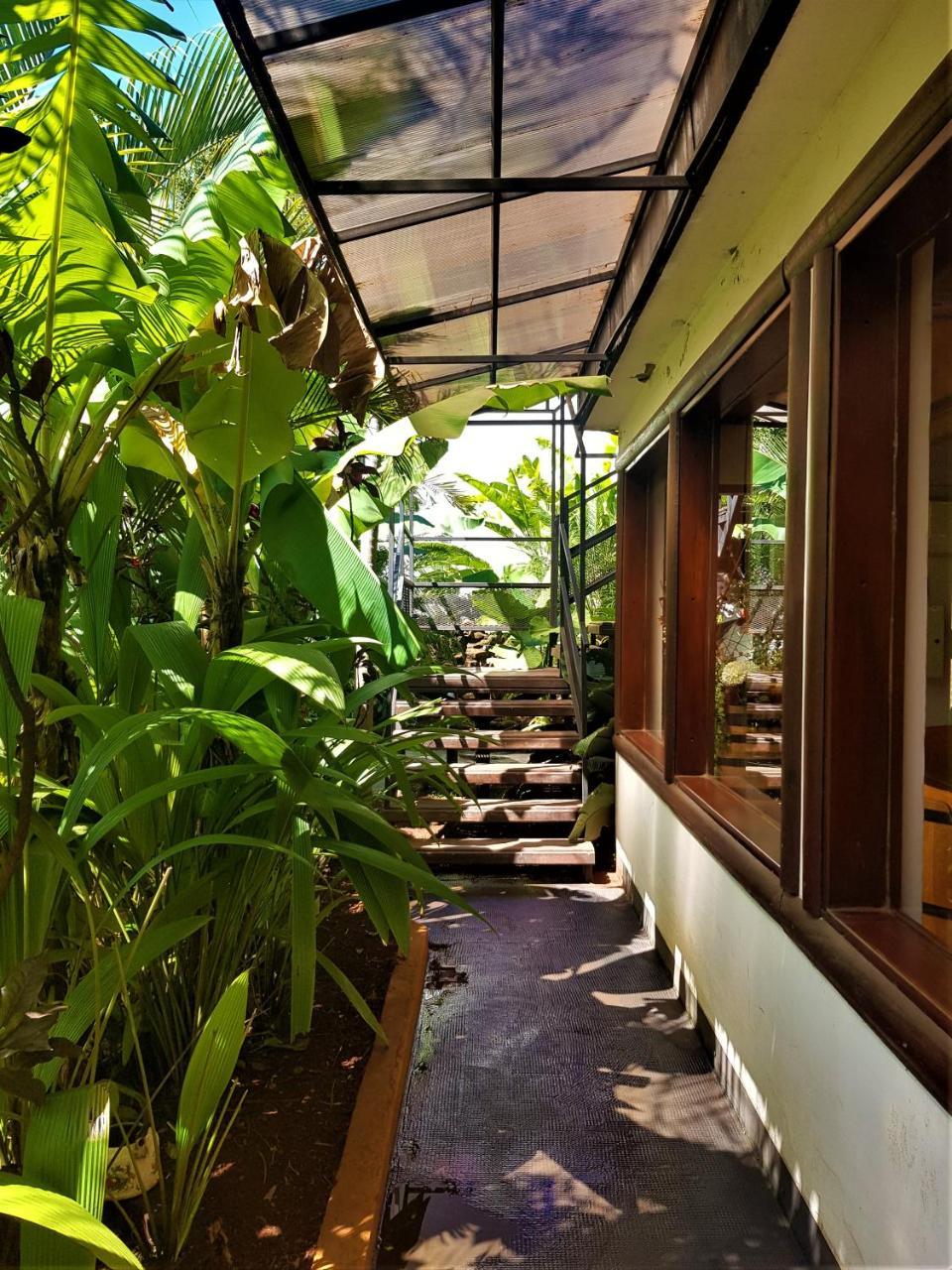 Si Mi Capitan - Cabanas & Habitaciones Puerto Iguazú Extérieur photo