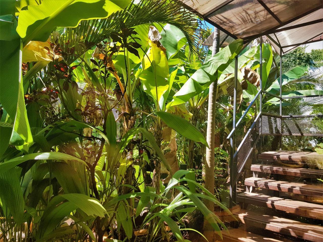 Si Mi Capitan - Cabanas & Habitaciones Puerto Iguazú Extérieur photo